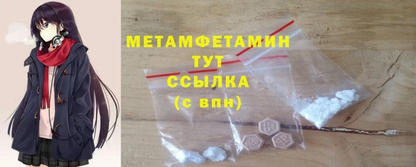 шишки Сясьстрой