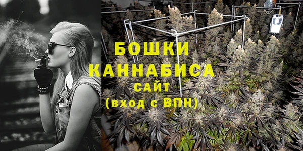 ГАЛЛЮЦИНОГЕННЫЕ ГРИБЫ Тавда