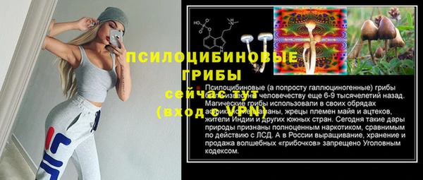 мдпв Нея
